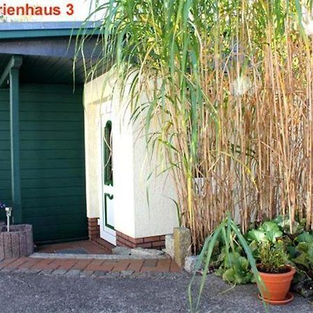 Ferienhaeuser Zinnowitz Use 2320 Bagian luar foto